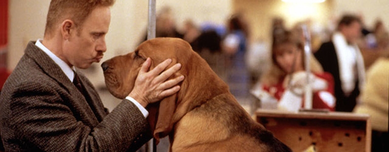 Movies for the Dog Days image