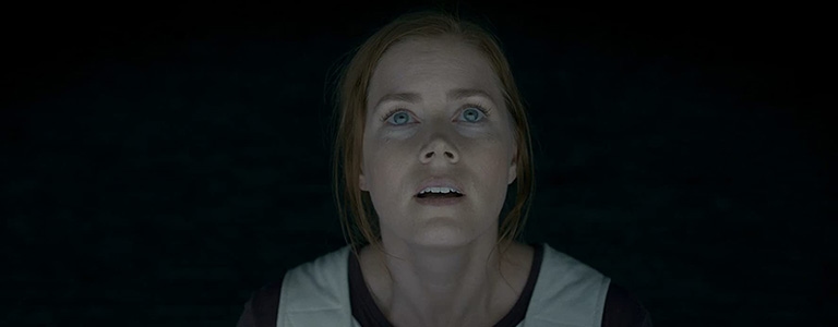 The Movies of Denis Villeneuve image